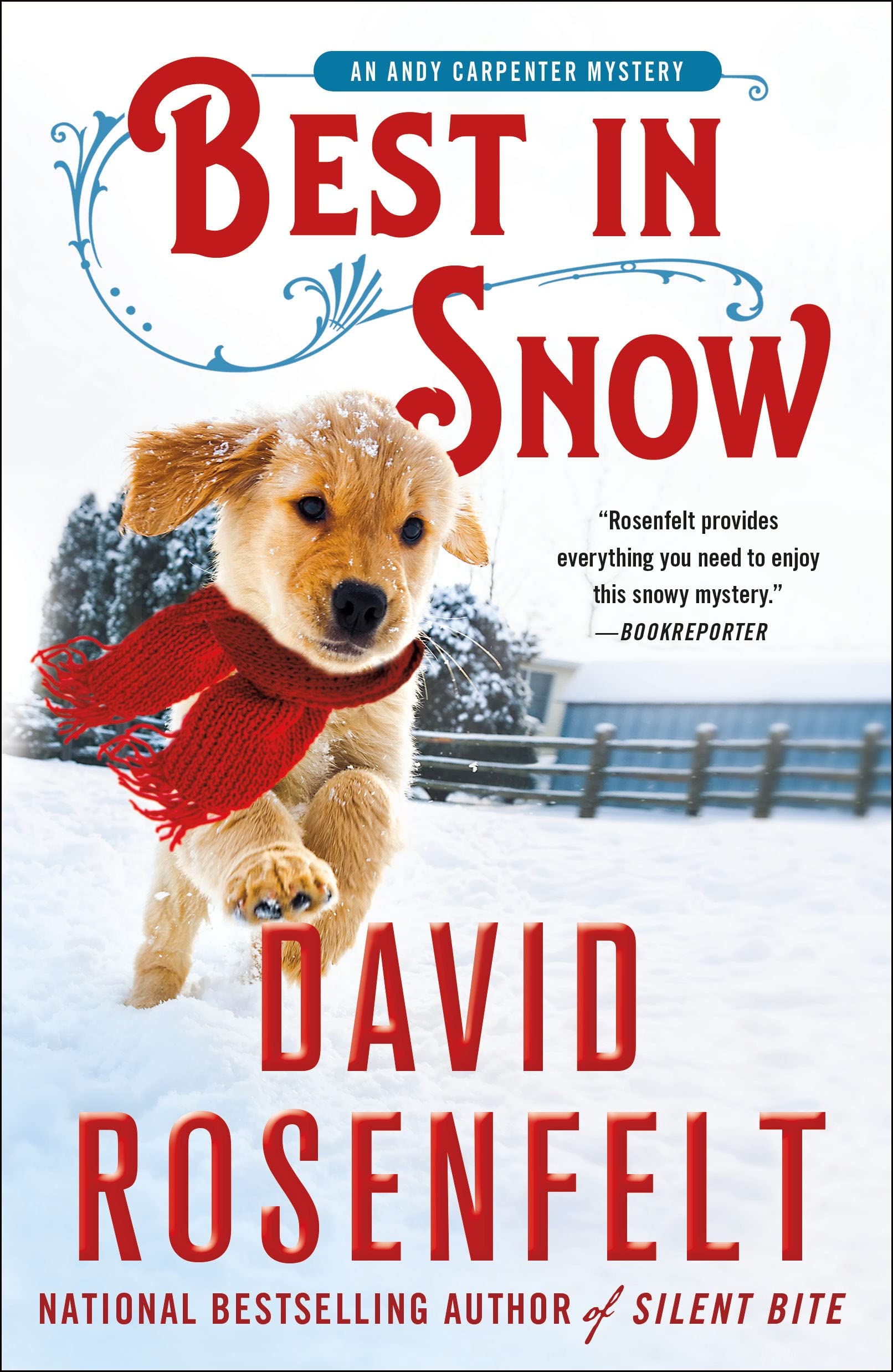 Product Image: Best in Snow