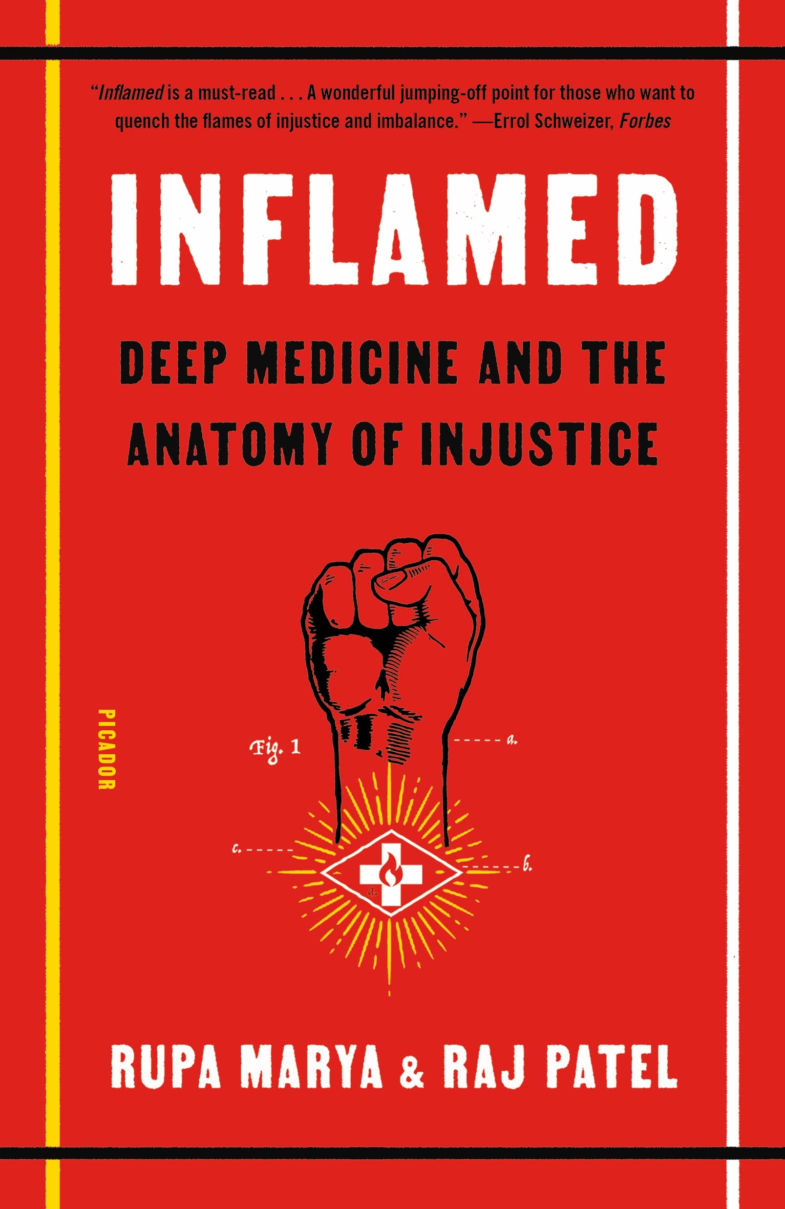 Inflamed: Deep Medicine and the Anatomy of Injustice Social Sciences