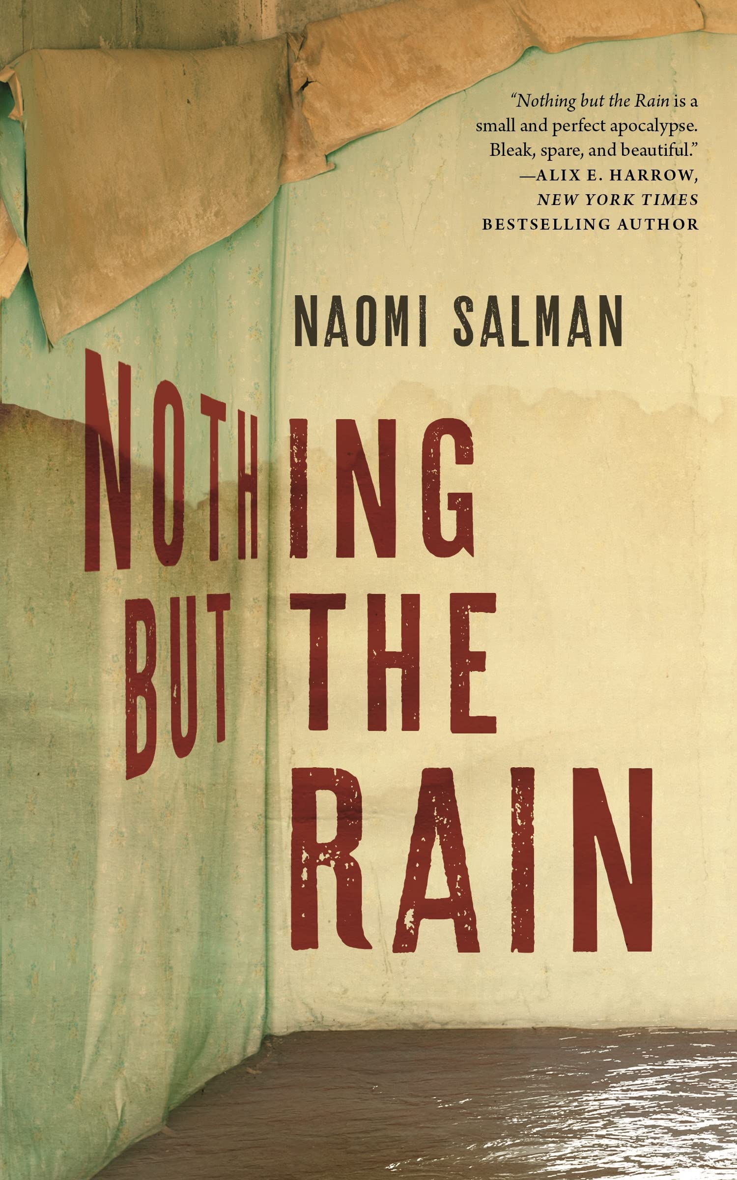 Nothing but the Rain Contemporary literature