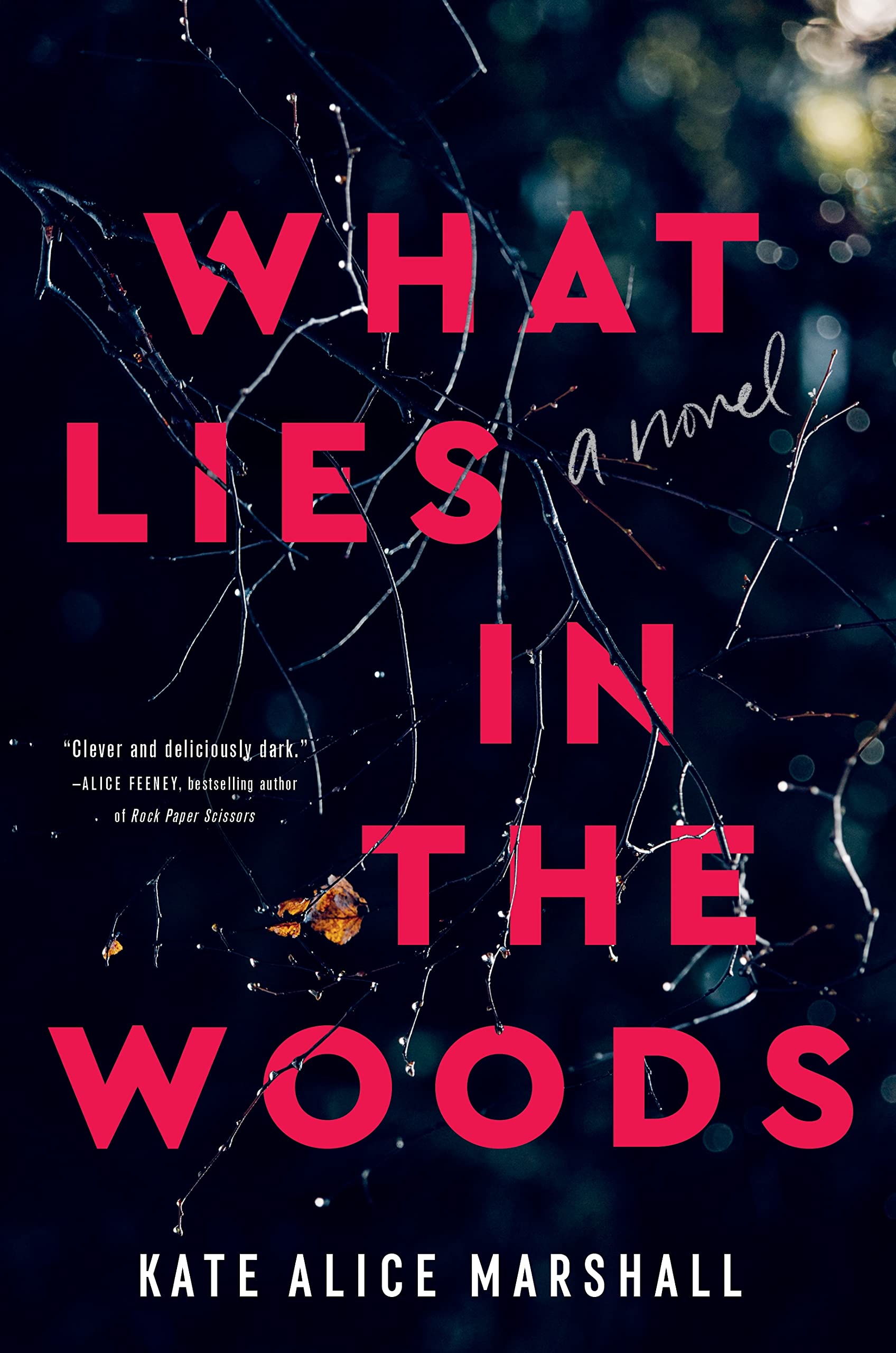 What Lies in the Woods: A Novel Contemporary literature