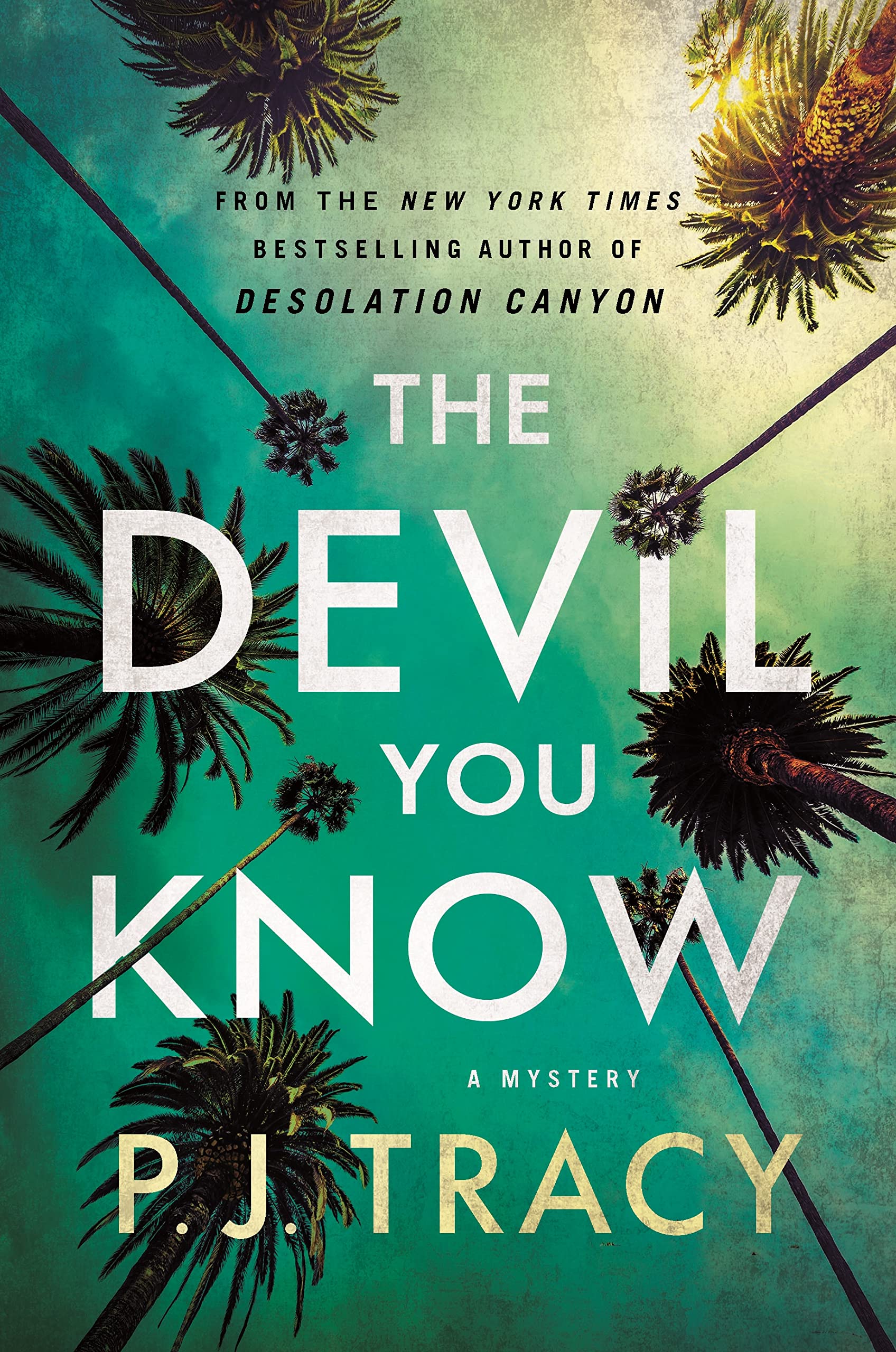 Devil You Know Contemporary literature Books