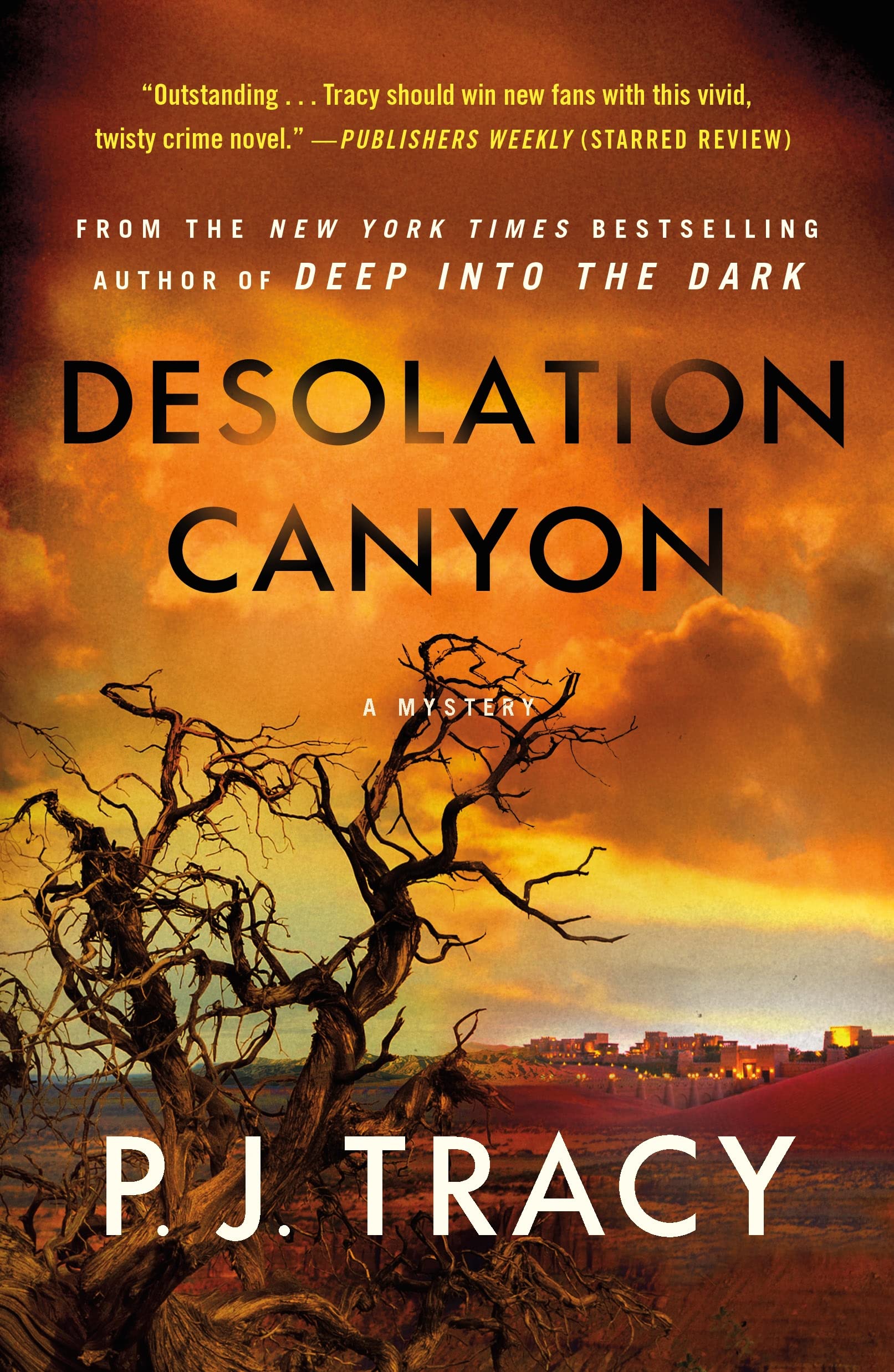 Desolation Canyon: A Mystery (The Detective Margaret Nolan, 2, Band 2) Action & Adventure