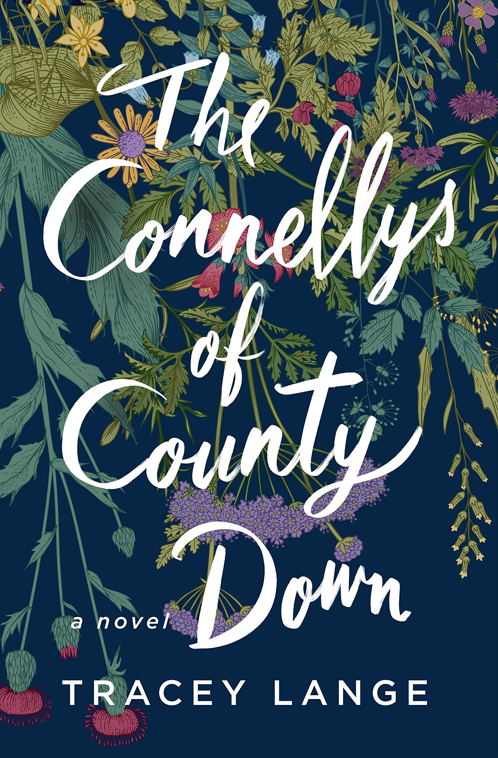The Connellys of County Down book