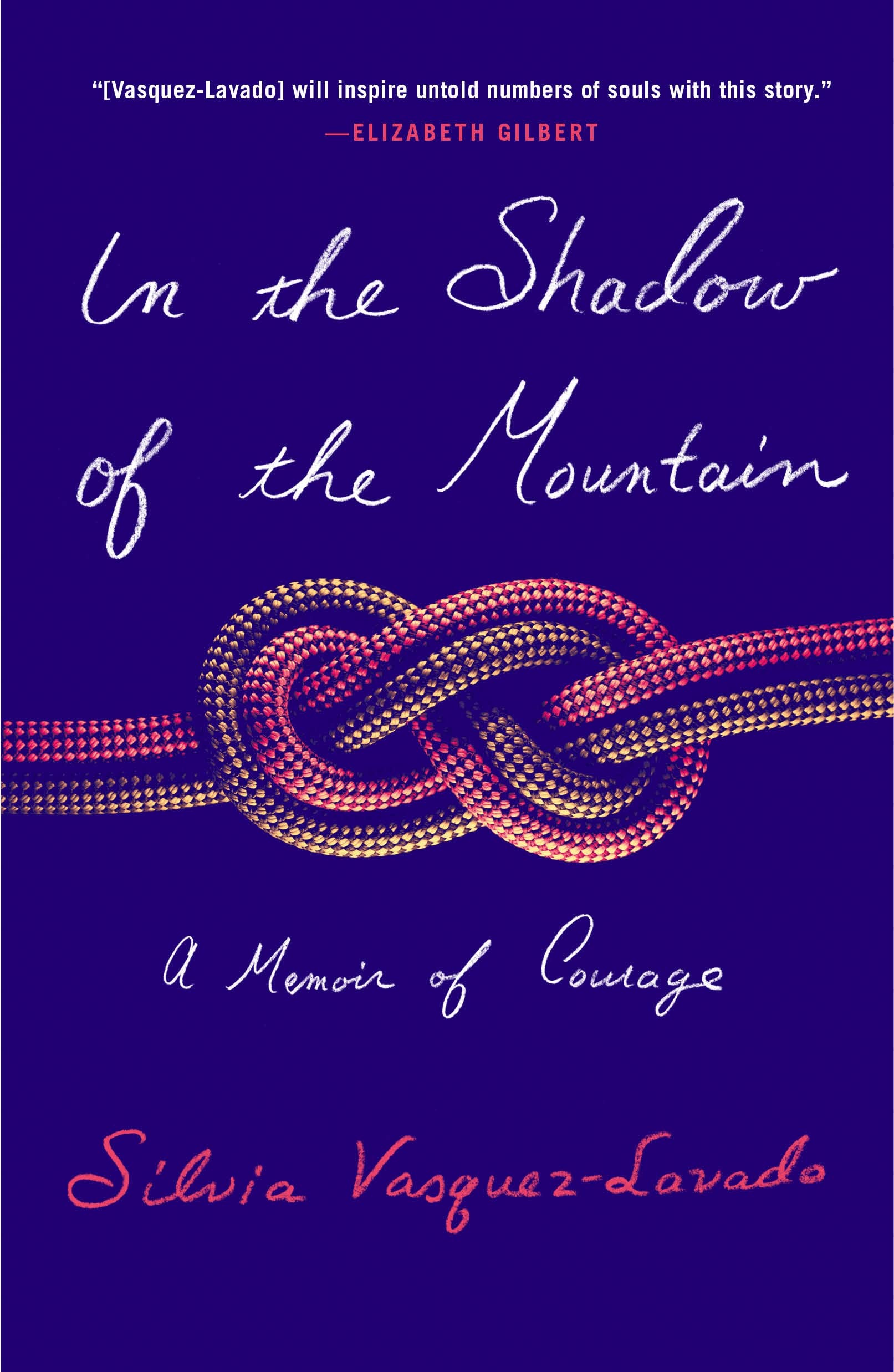 In the Shadow of the Mountain: A Memoir of Courage Politics & Society