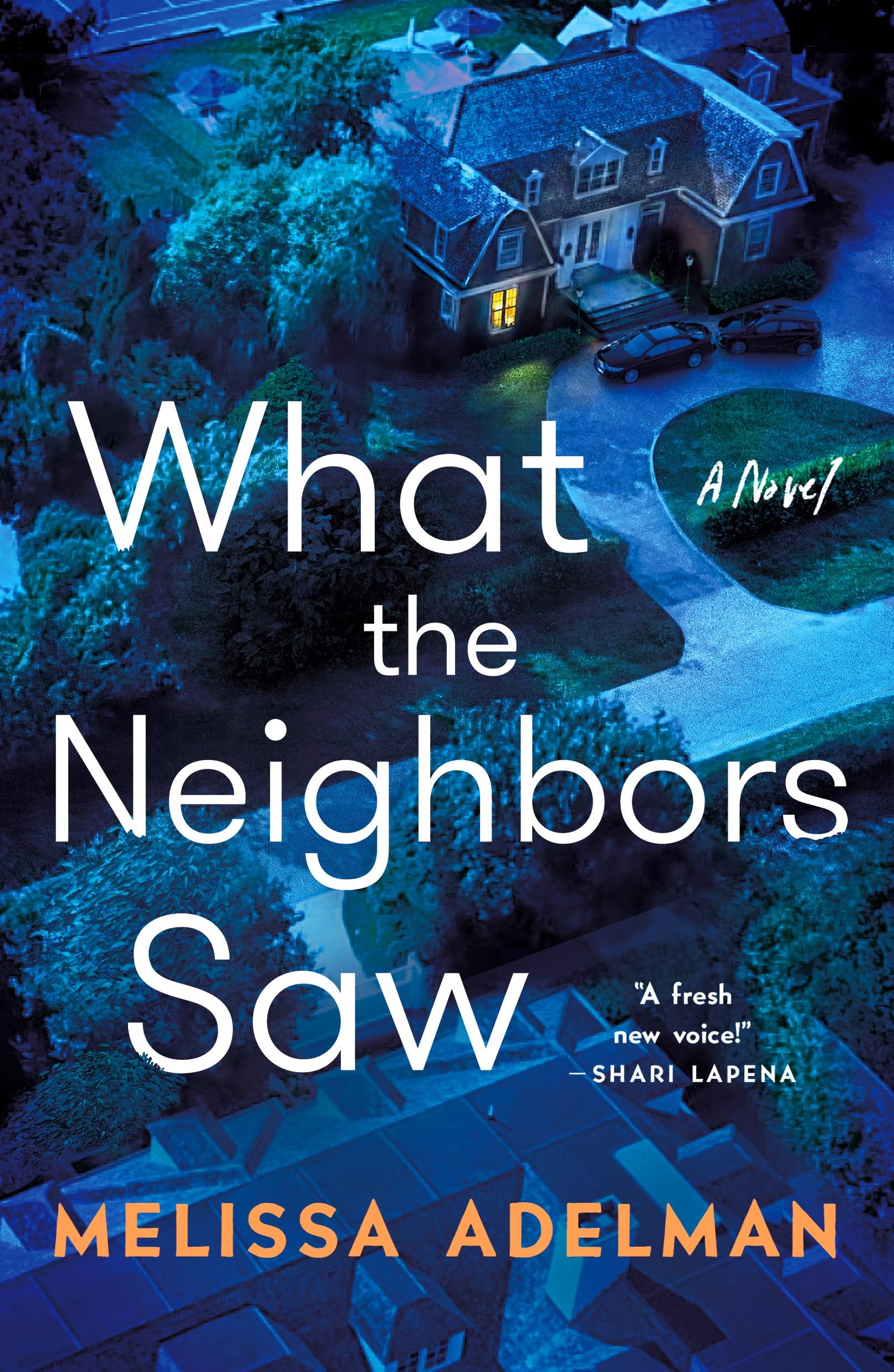 What the Neighbors Saw book