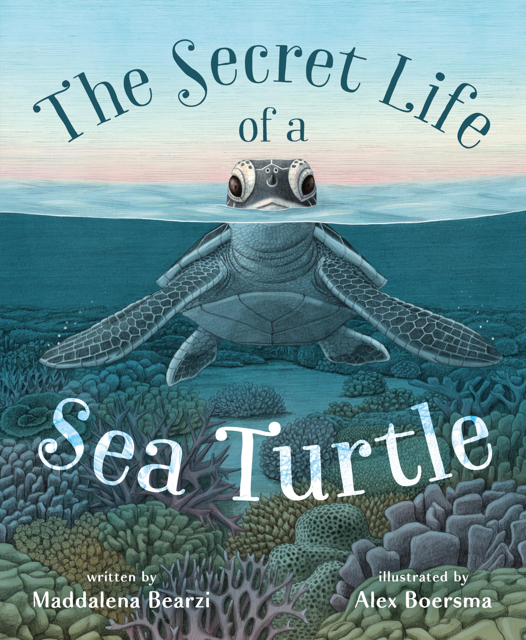 The Secret Life of a Sea Turtle Parents & Children
