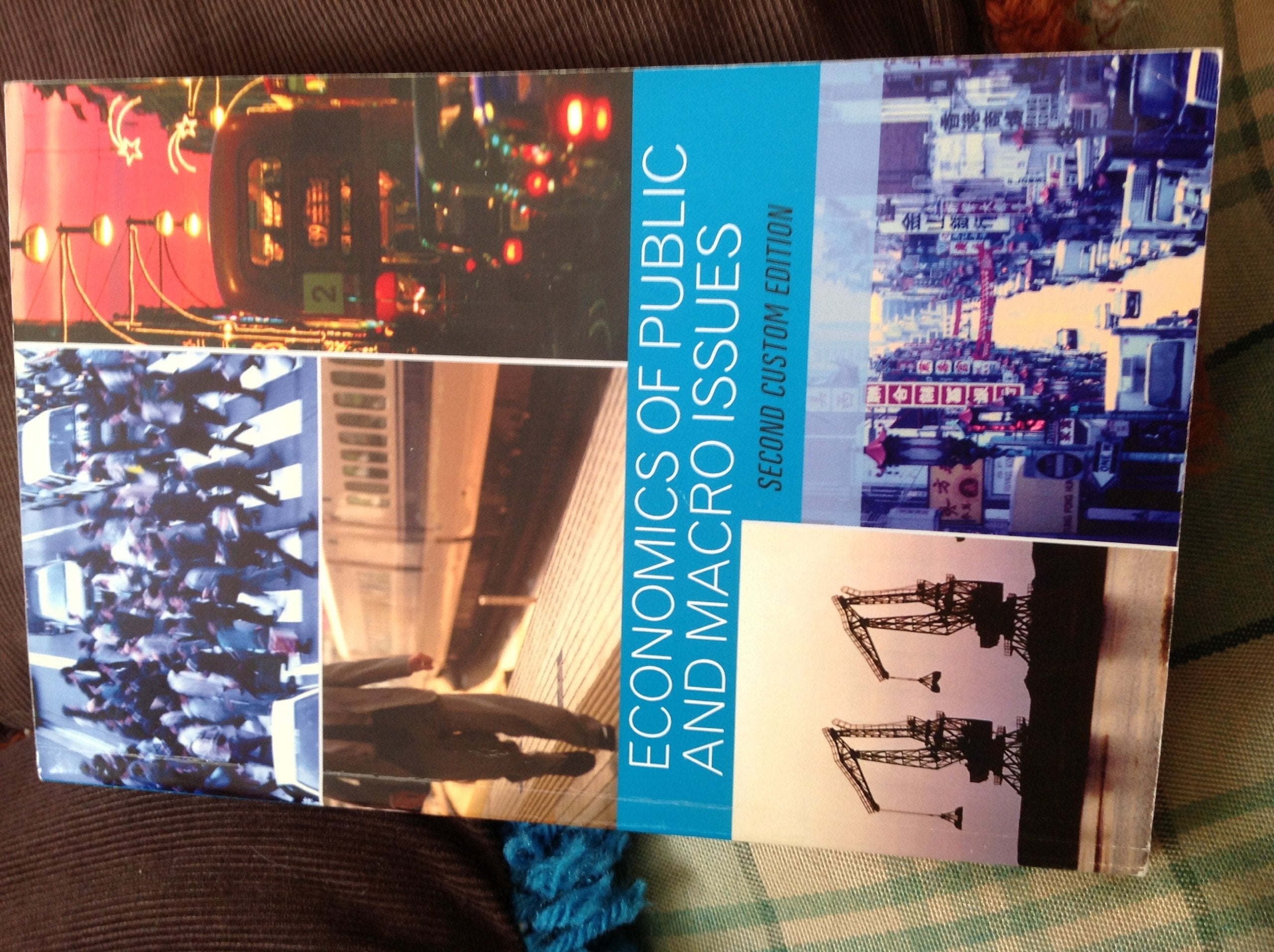 Economics of Public and Macro Issues Books