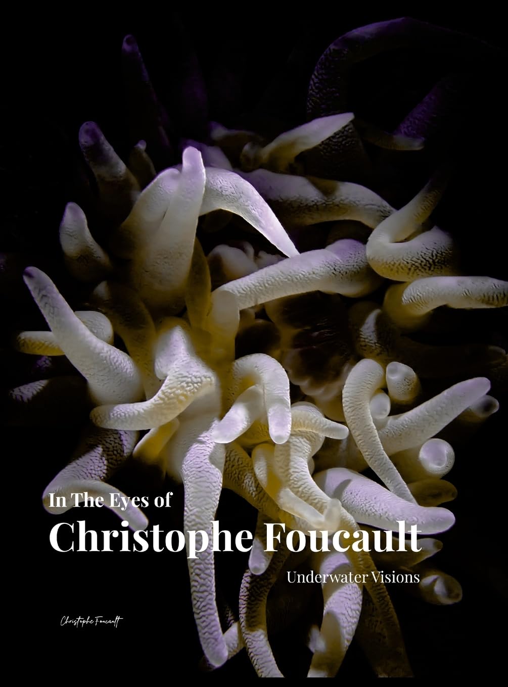 In The Eyes of Christophe Foucault Underwater Visions Art & Literature