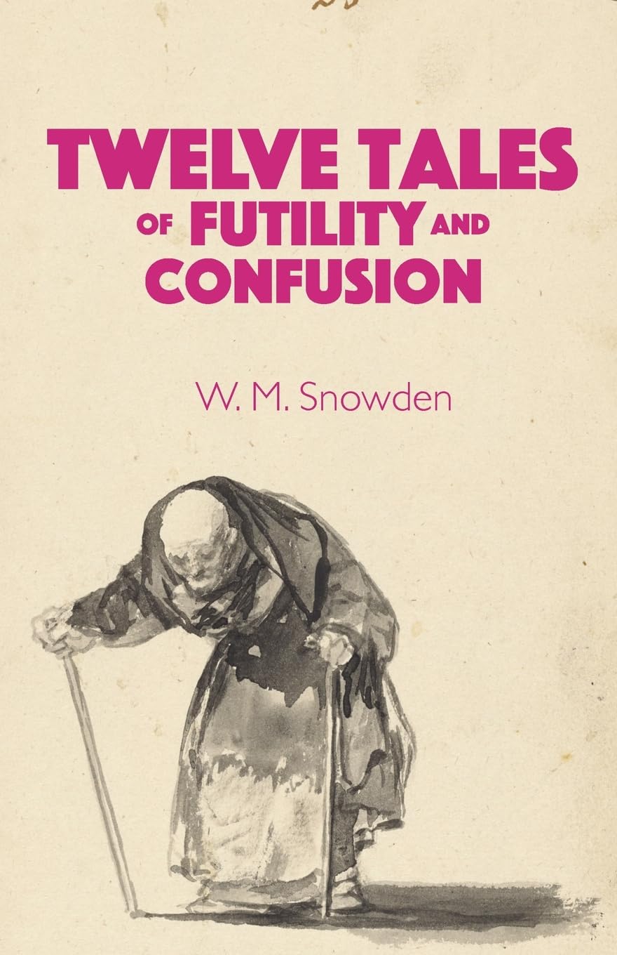 Twelve Tales of Futility and Confusion Contemporary literature