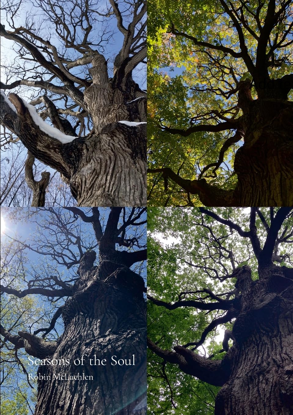 Seasons of the Soul Religion & Esotericism