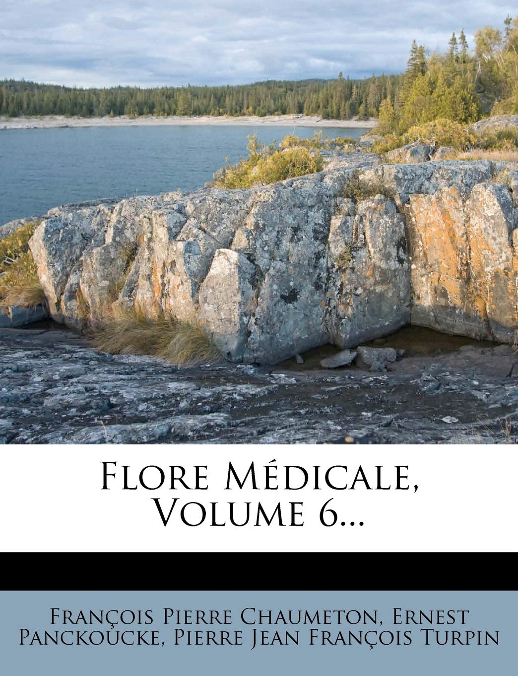 Flore Médicale, Volume 6... book
