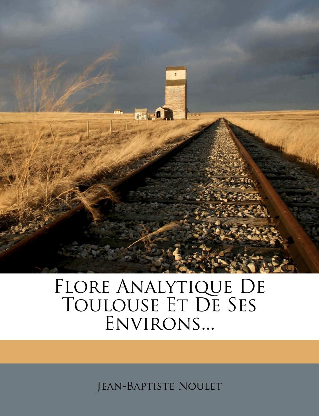 Flore Analytique De Toulouse Et De Ses Environs... book