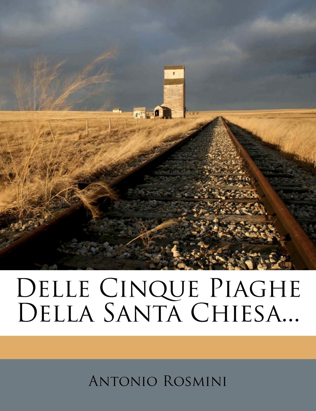 Delle Cinque Piaghe Della Santa Chiesa... Contemporary literature