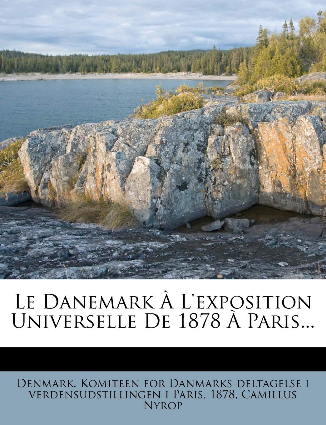 Le Danemark À L'exposition Universelle De 1878 À Paris... book