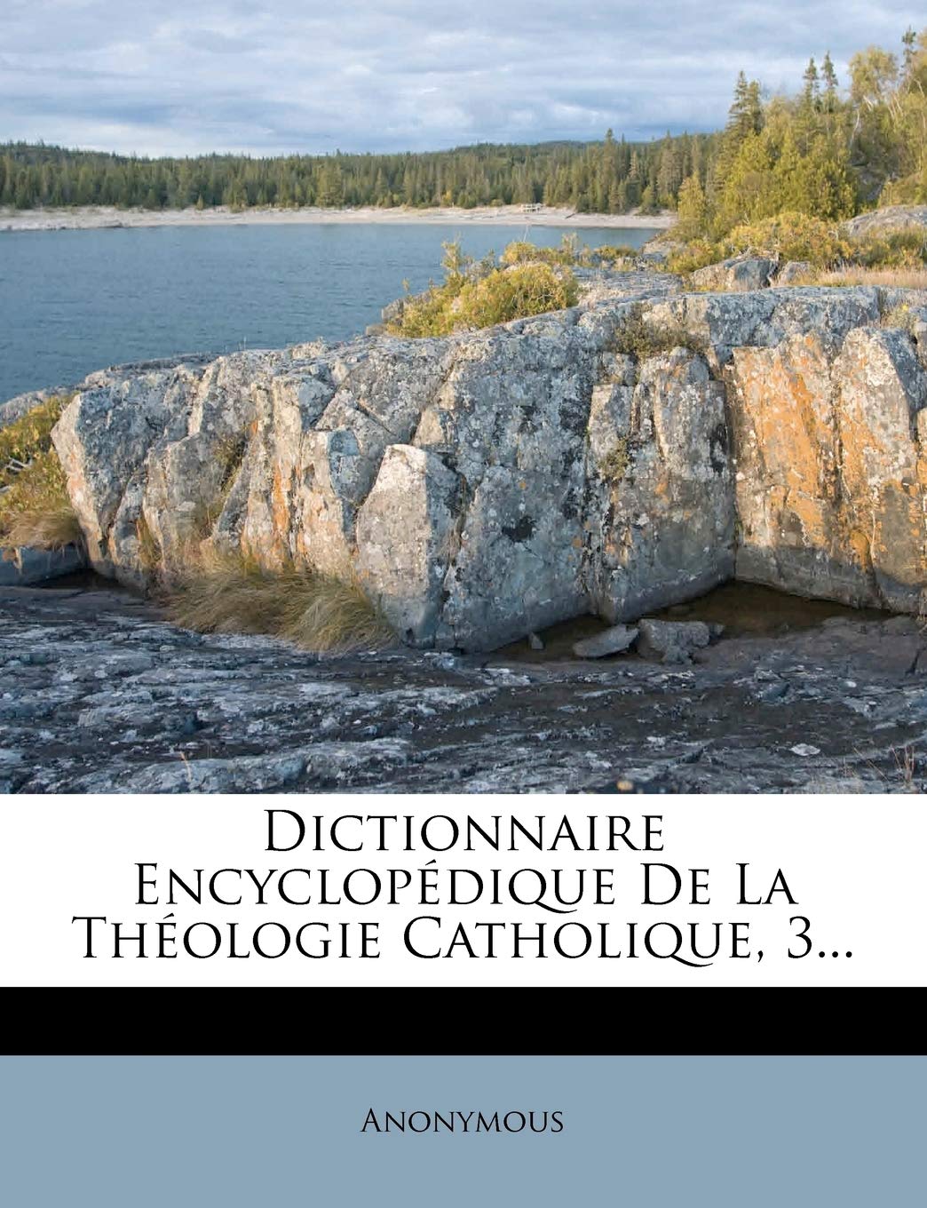 Dictionnaire Encyclopedique de La Theologie Catholique, 3... Politics & History