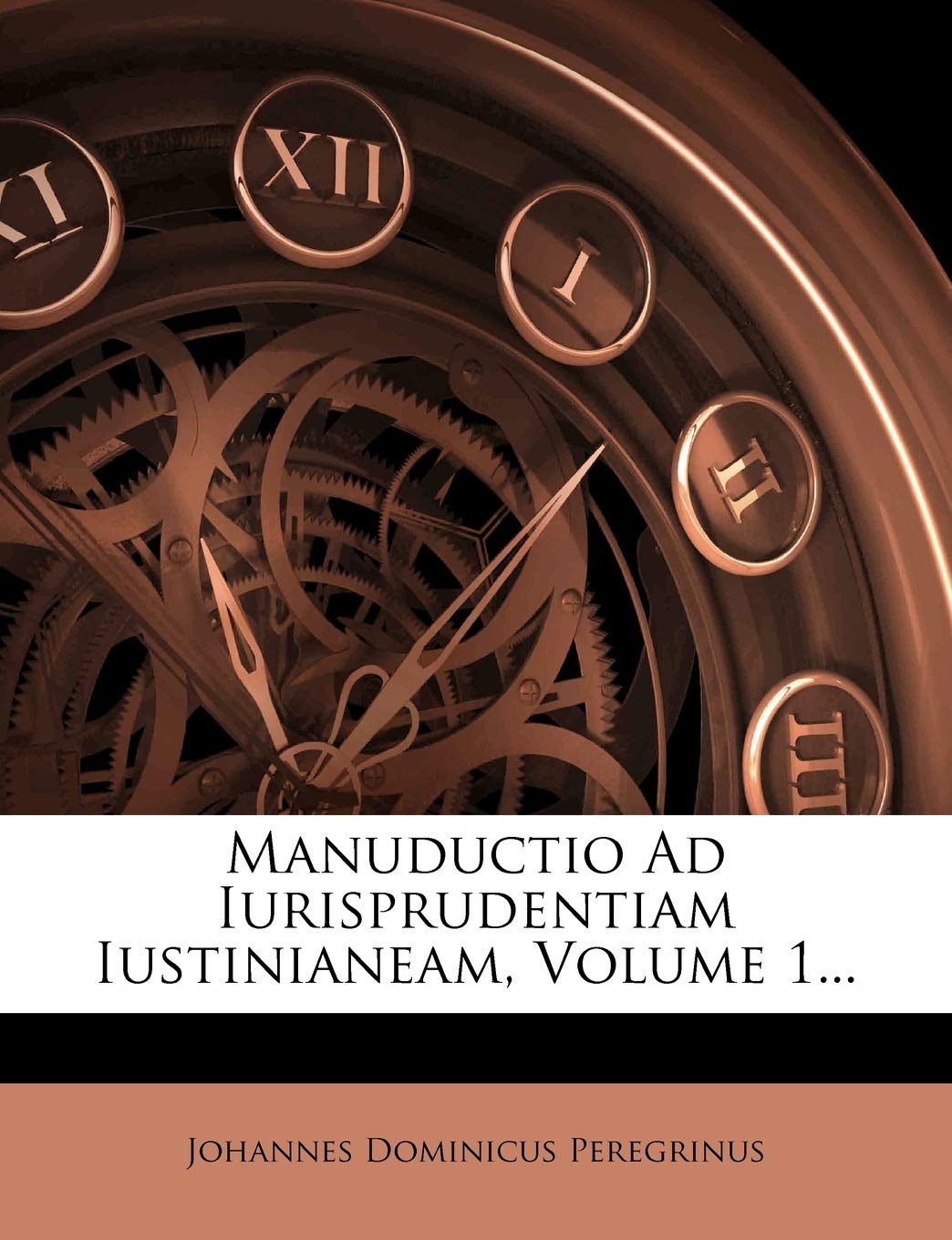 Manuductio Ad Iurisprudentiam Iustinianeam, Volume 1... Politics & History