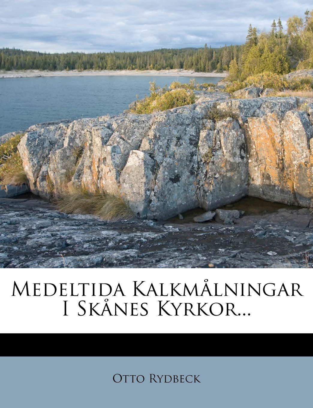Medeltida Kalkmålningar I Skånes Kyrkor... Politics & History