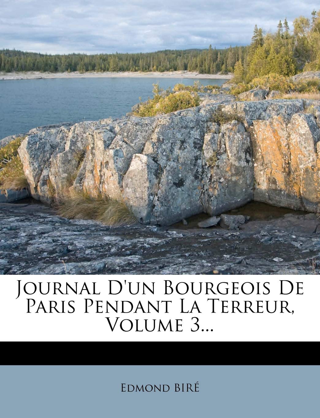 Journal D'Un Bourgeois de Paris Pendant La Terreur, Volume 3... book