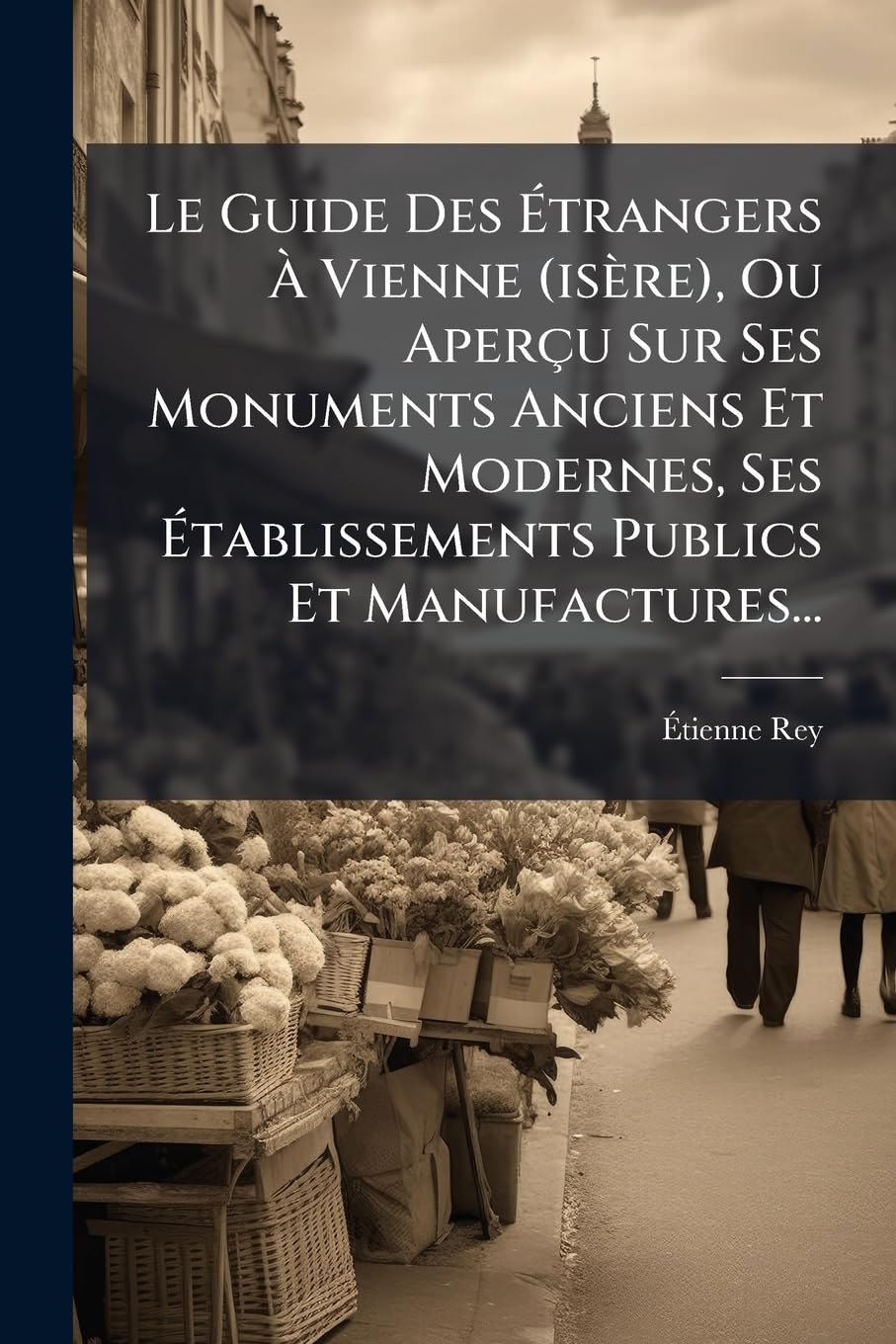 Le Guide Des Étrangers À Vienne (Isère), Ou Aperçu Sur Ses Monuments Anciens Et Modernes, Ses Établissements Publics Et Manufactures... book