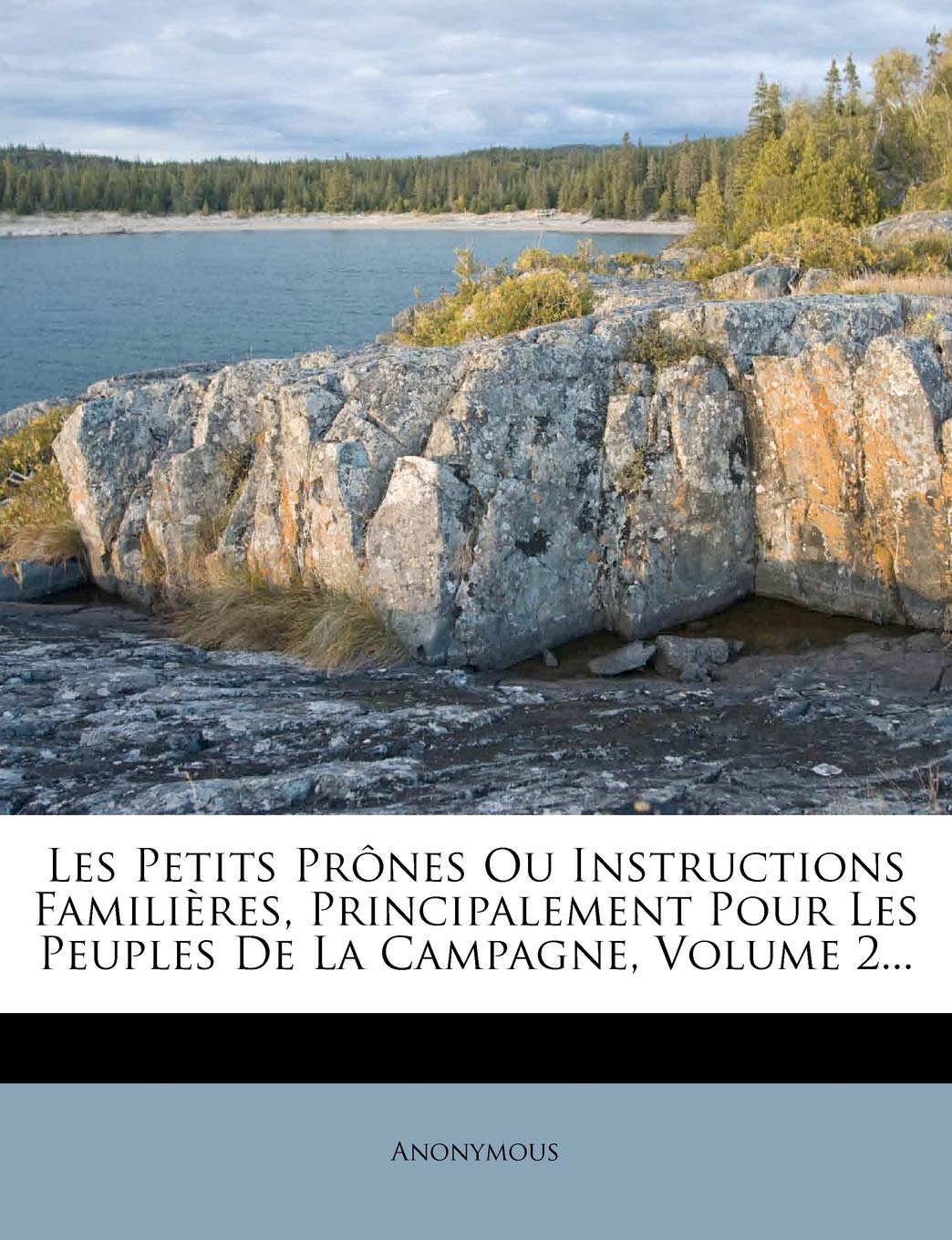 Les Petits Prônes Ou Instructions Familières, Principalement Pour Les Peuples de la Campagne, Volume 2... book