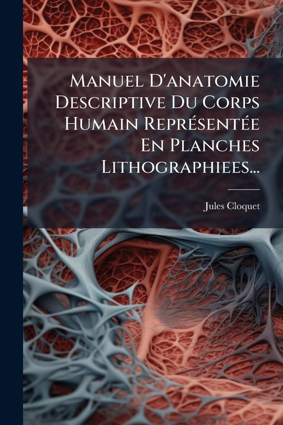Manuel D'anatomie Descriptive Du Corps Humain Représentée En Planches Lithographiees... book