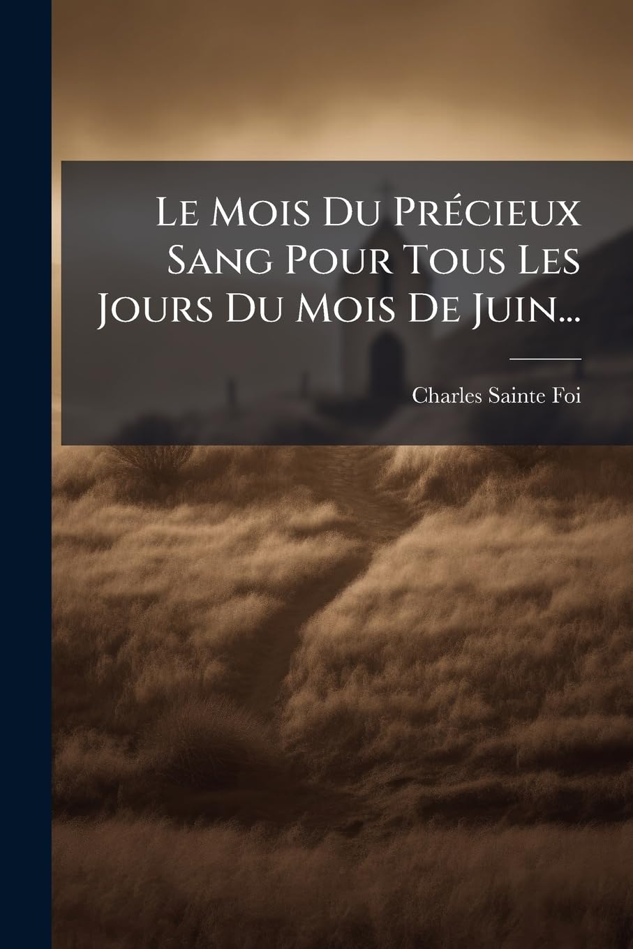 Le Mois Du Précieux Sang Pour Tous Les Jours Du Mois de Juin... book