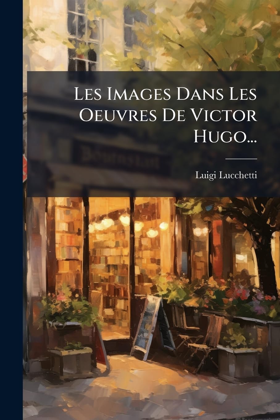Les Images Dans Les Oeuvres de Victor Hugo... book