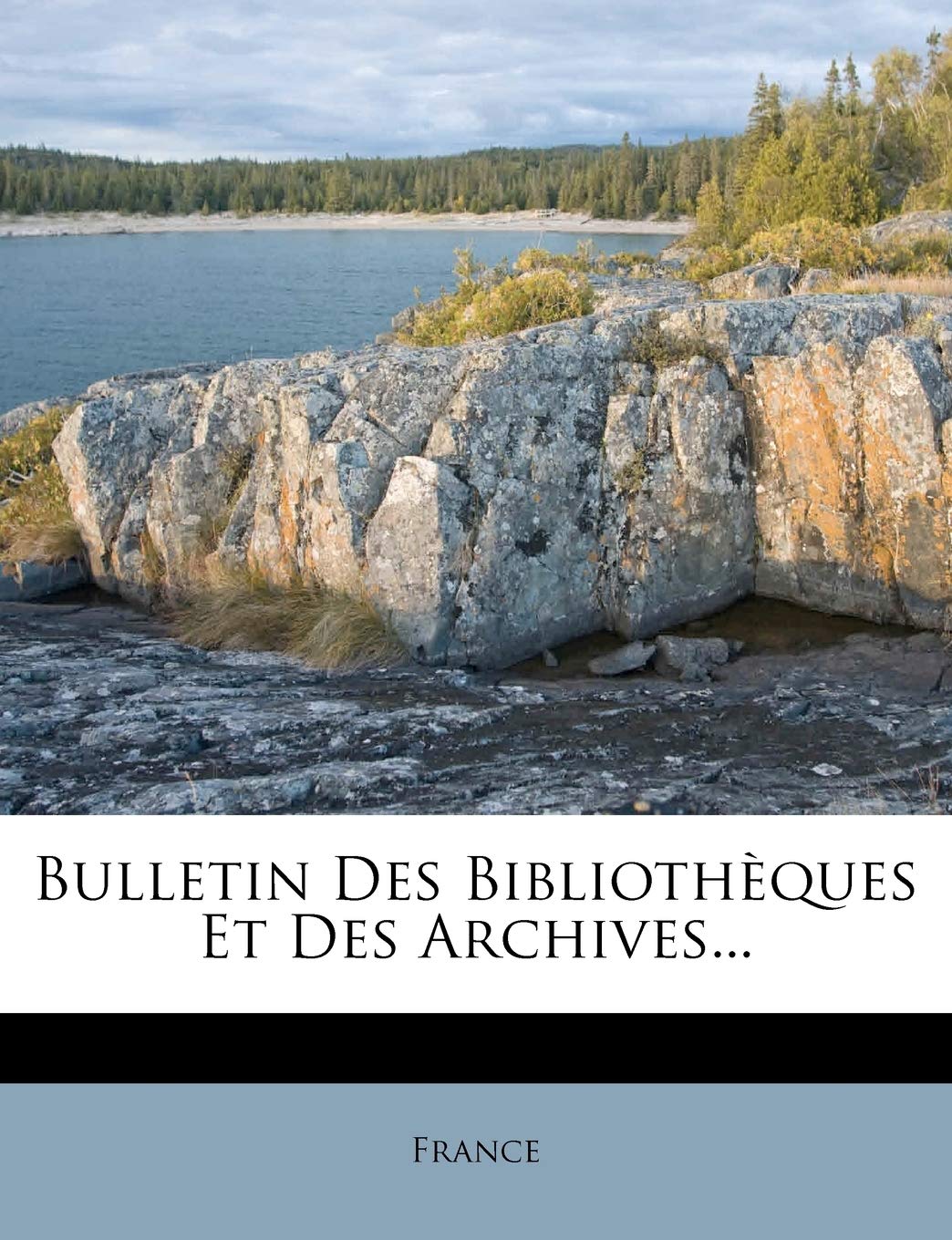 Bulletin Des Bibliothèques Et Des Archives... book