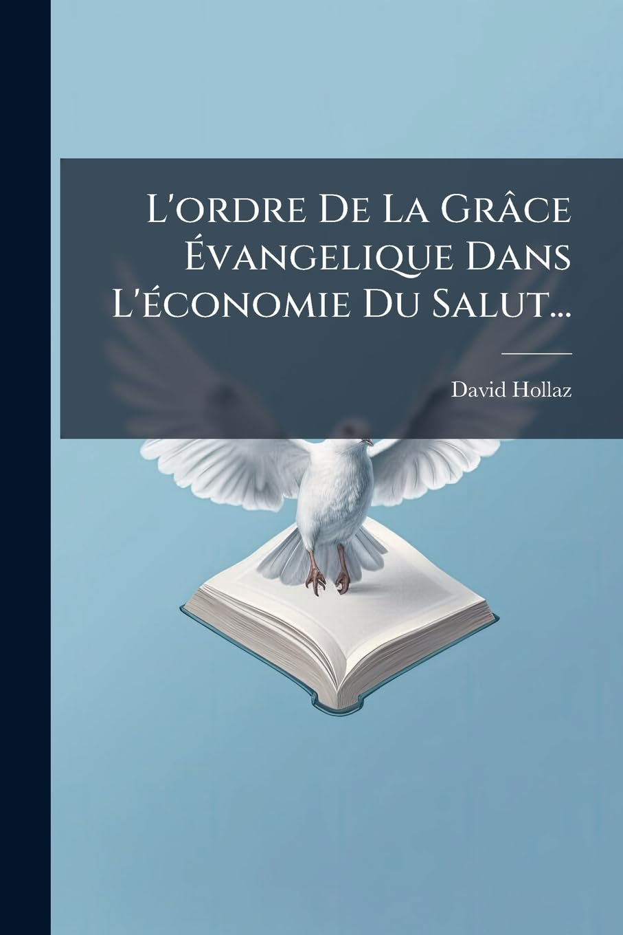 L'Ordre de la Grâce Évangelique Dans l'Économie Du Salut... book