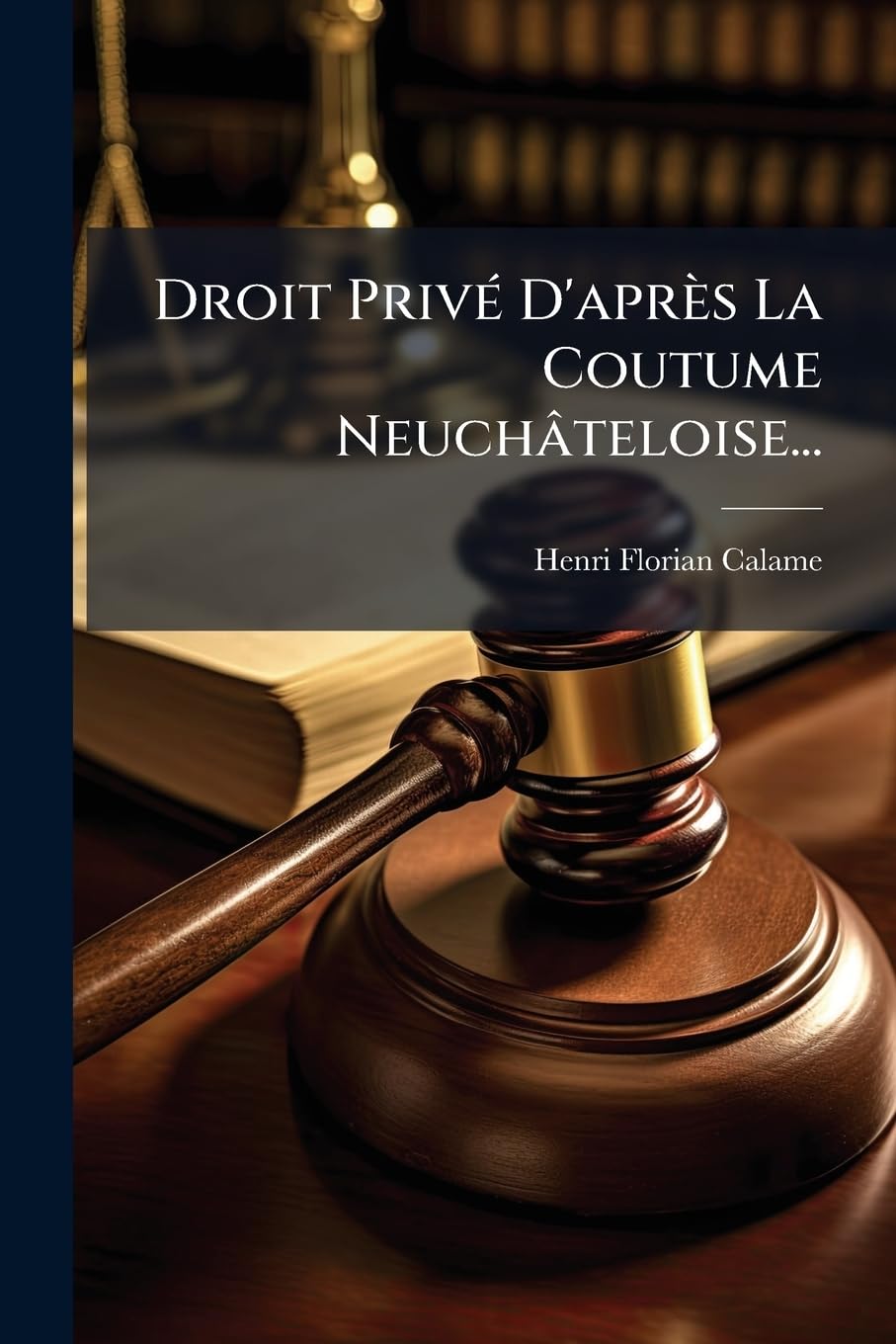 Droit Privé D'après La Coutume Neuchâteloise... book