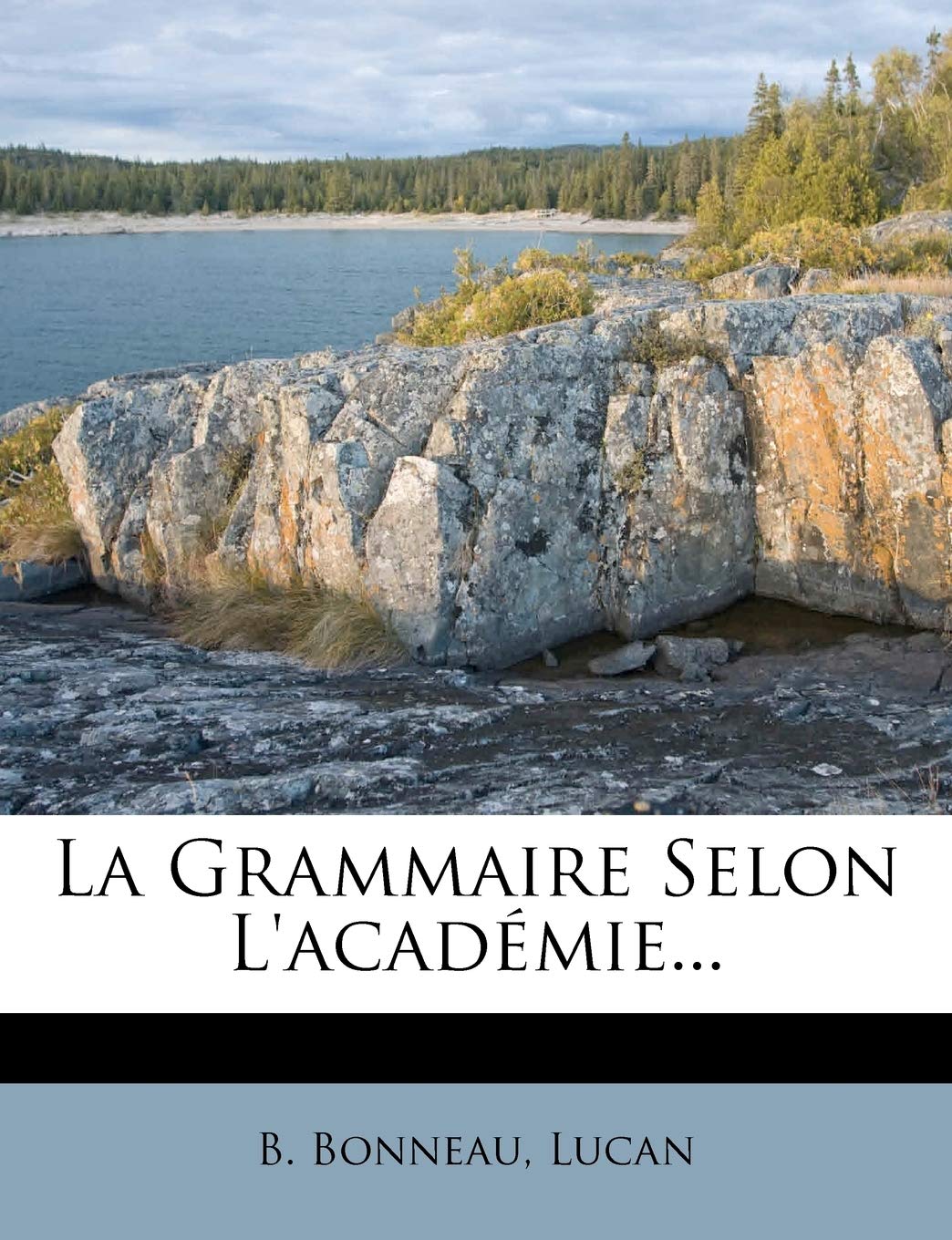 La Grammaire Selon L'académie... book