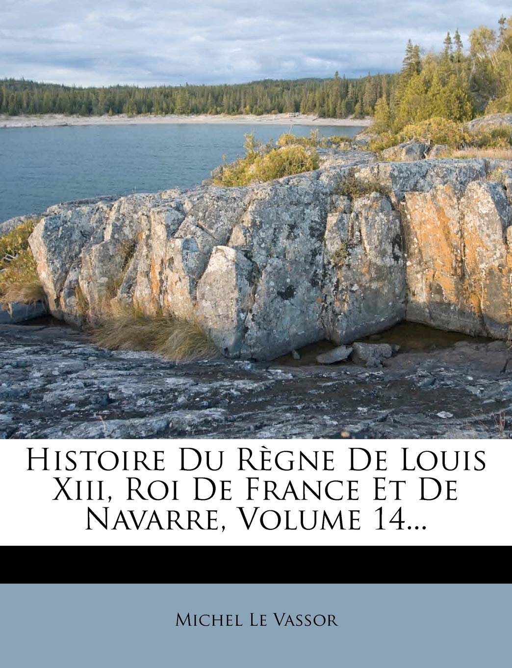 Histoire Du Regne de Louis XIII, Roi de France Et de Navarre, Volume 14... book