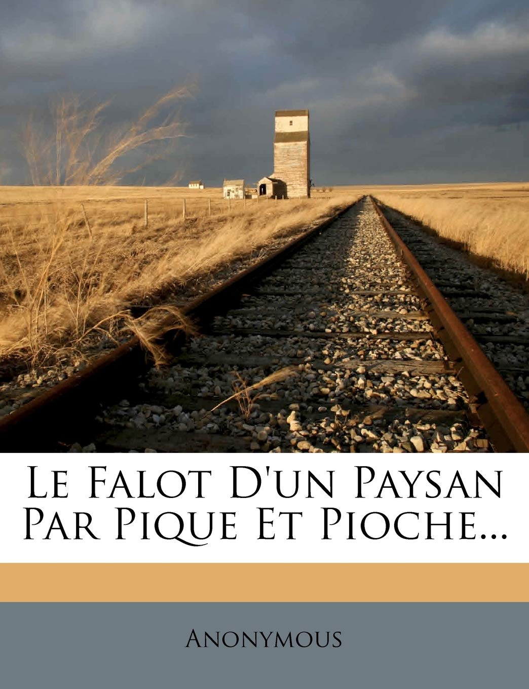 Le Falot d'Un Paysan Par Pique Et Pioche... book