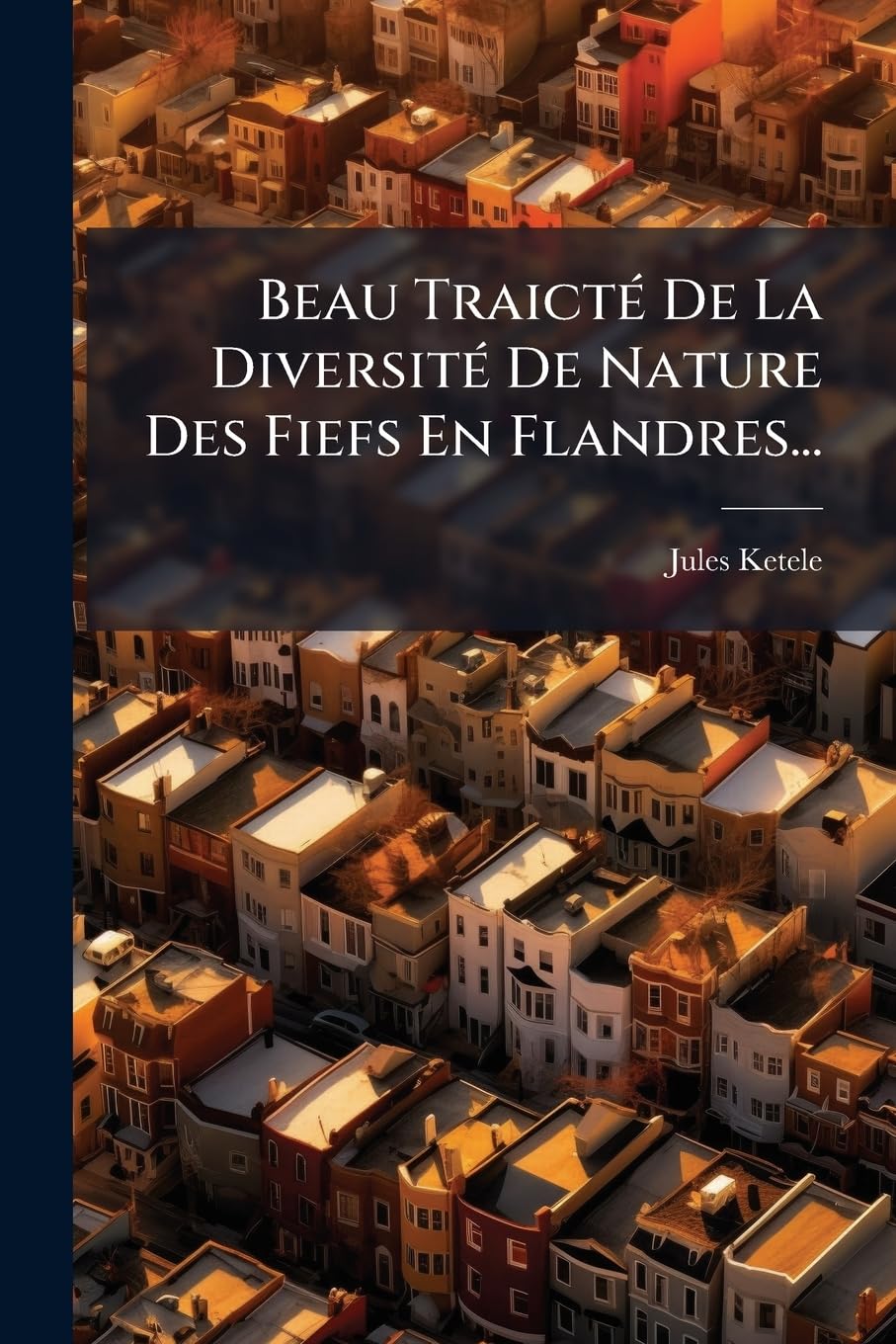 Beau Traicté de la Diversité de Nature Des Fiefs En Flandres... book