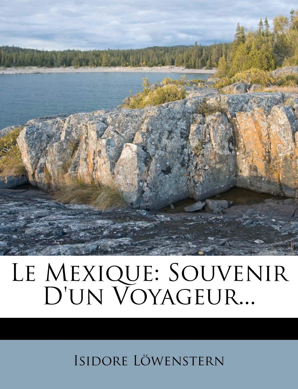 Le Mexique: Souvenir d'Un Voyageur... book