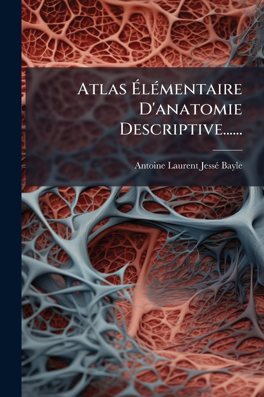 Atlas L Mentaire D'Anatomie Descriptive...... book