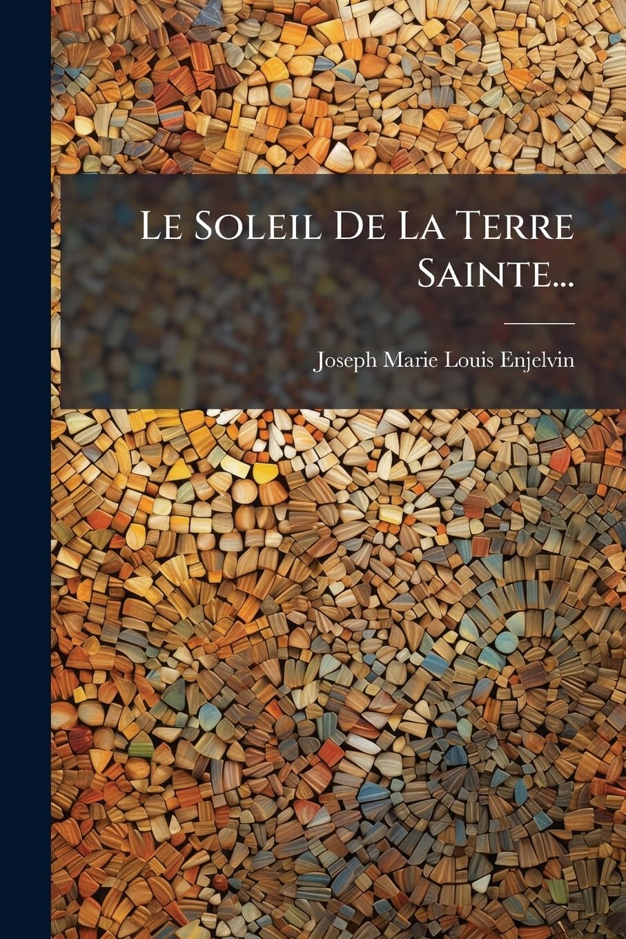 Le Soleil de la Terre Sainte... book
