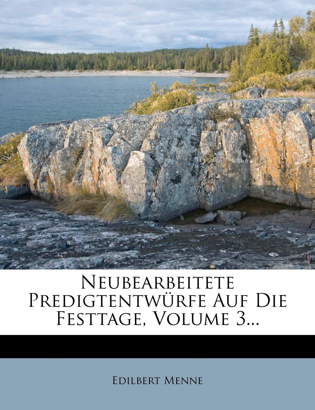 Neubearbeitete Predigtentwurfe Auf Die Festtage, Volume 3... Politics & History