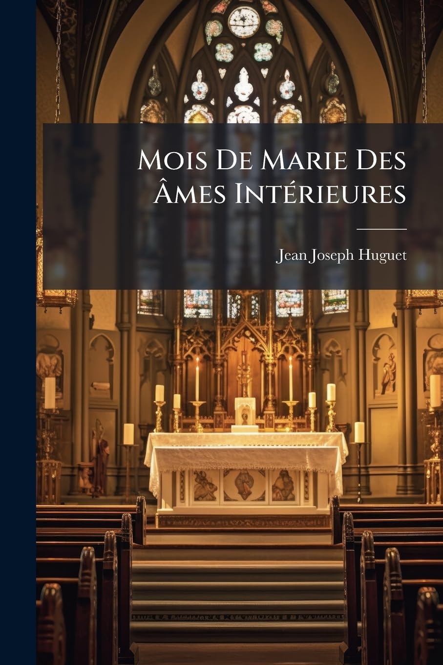Mois de Marie Des Âmes Intérieures: Ou La Vie de la Sainte Vierge Proposée Pour Modèle Aux Âmes Intérieures...... book