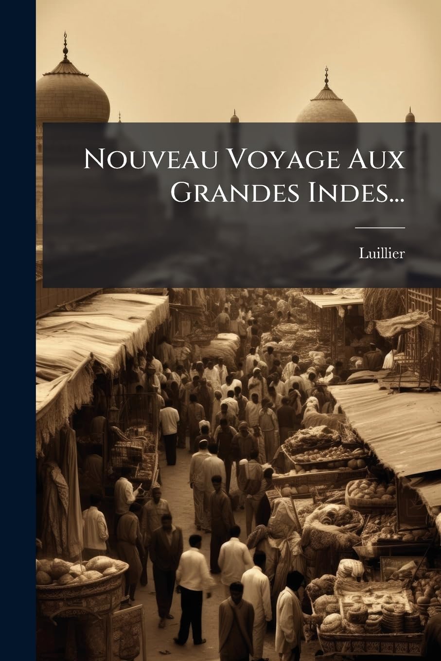 Nouveau Voyage Aux Grandes Indes... book