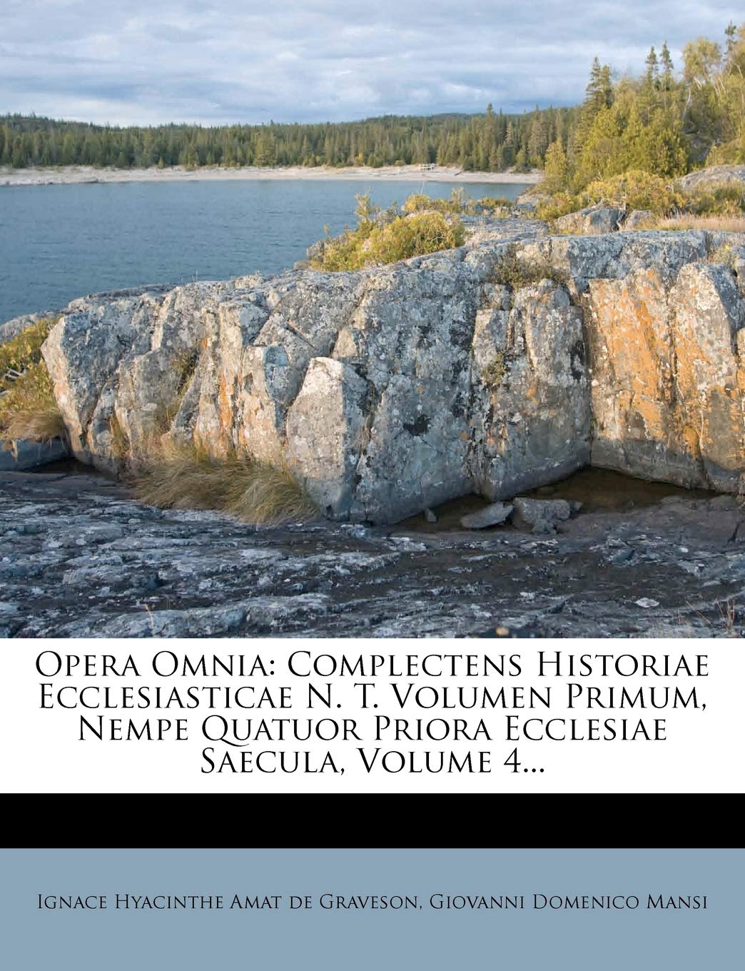 Opera Omnia: Complectens Historiae Ecclesiasticae N. T. Volumen Primum, Nempe Quatuor Priora Ecclesiae Saecula, Volume 4... Politics & History