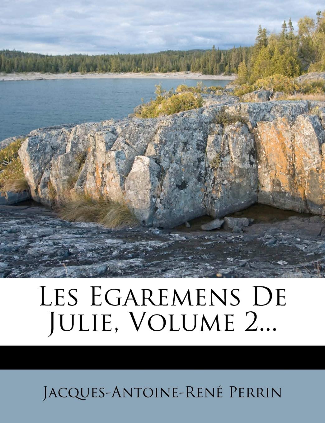 Les Egaremens de Julie, Volume 2... book
