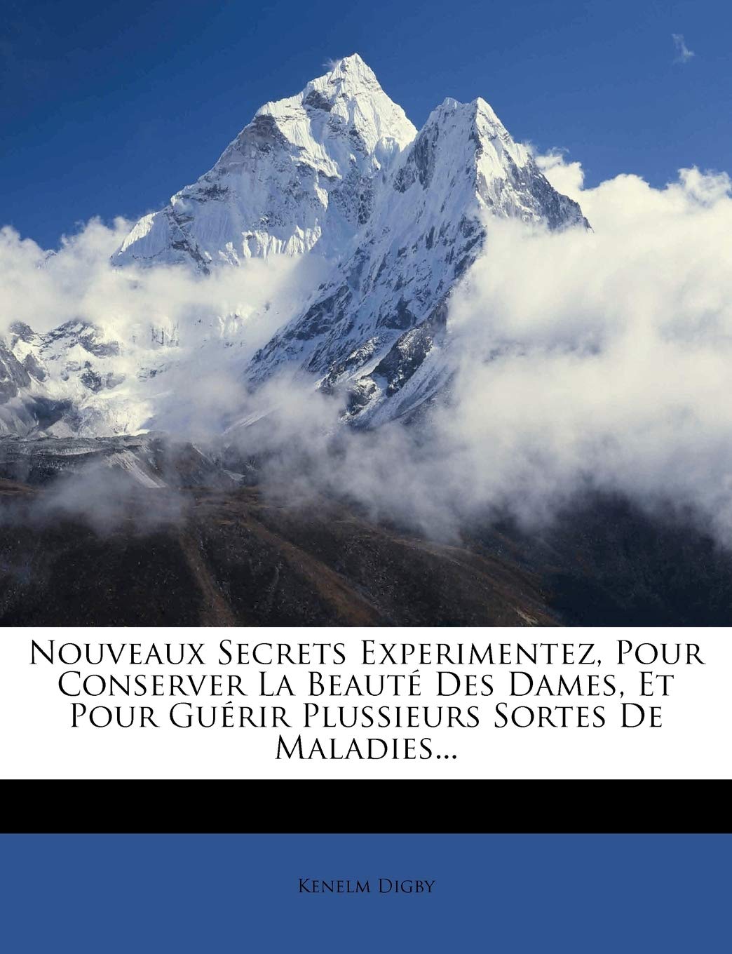 Nouveaux Secrets Experimentez, Pour Conserver La Beauté Des Dames, Et Pour Guérir Plussieurs Sortes de Maladies... book