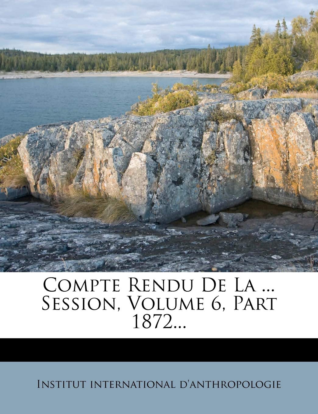Compte Rendu de La ... Session, Volume 6, Part 1872... book