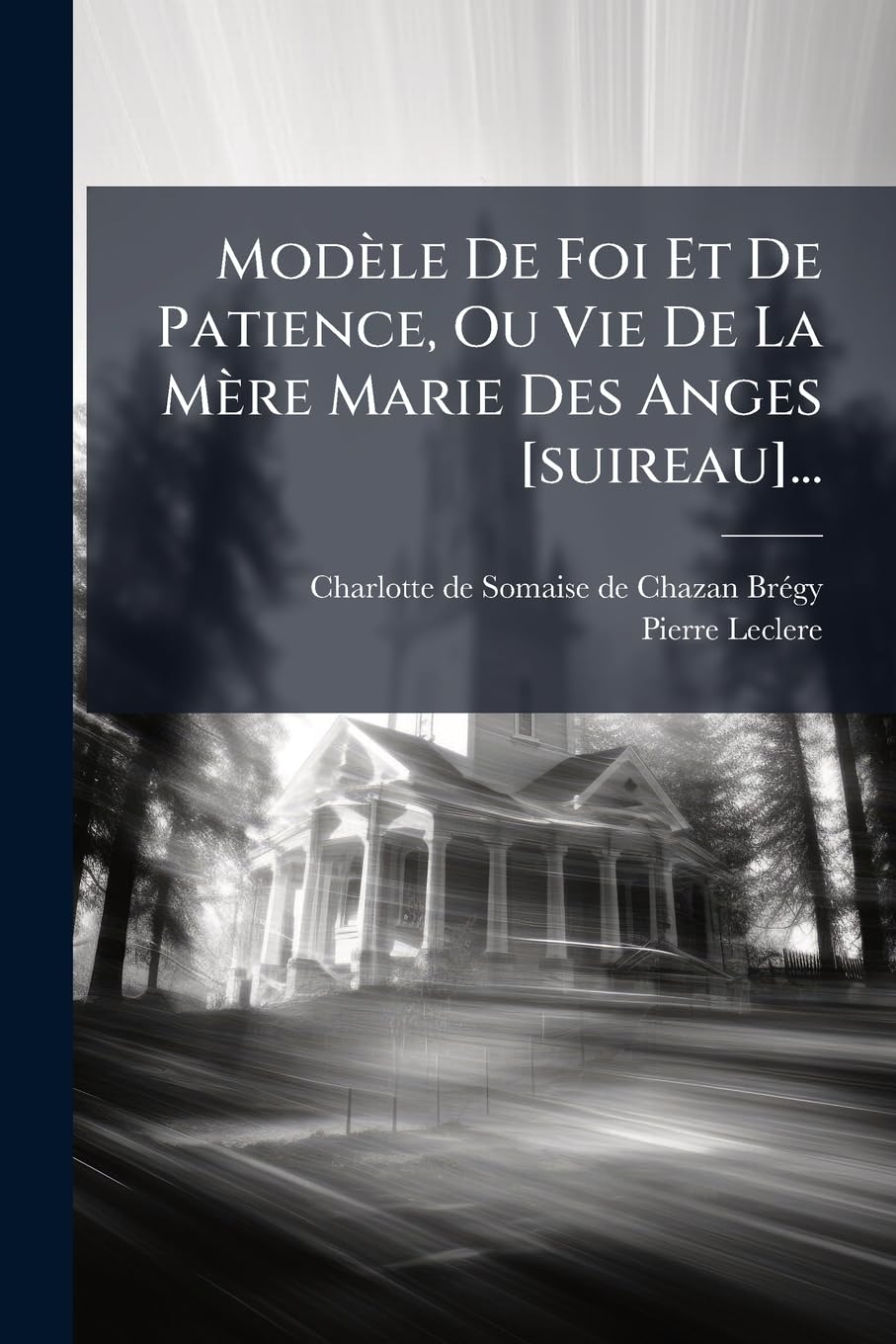 Modèle De Foi Et De Patience, Ou Vie De La Mère Marie Des Anges ... book