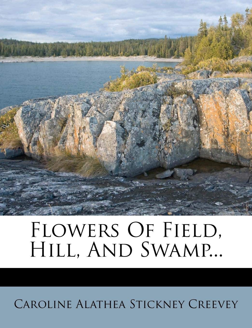 Flowers of Field, Hill, and Swamp Politics & History