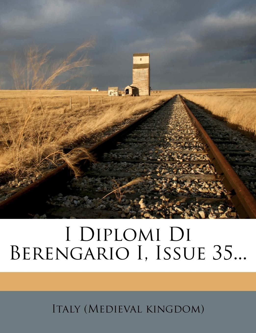 I Diplomi Di Berengario I, Issue 35... Politics & History