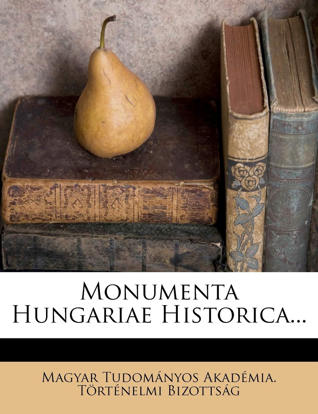 Monumenta Hungariae Historica... Politics & History