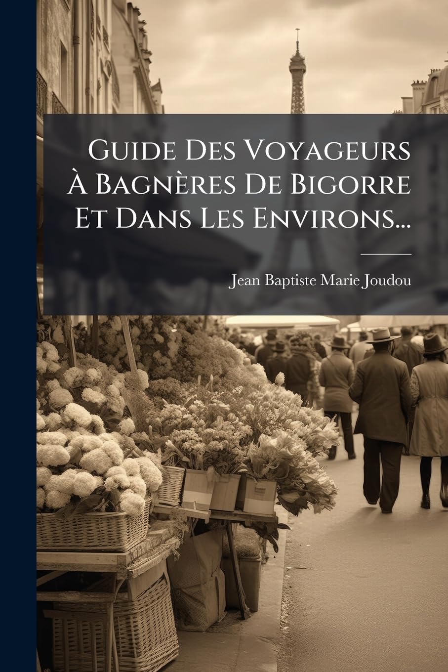 Guide Des Voyageurs À Bagnères De Bigorre Et Dans Les Environs... Politics & History