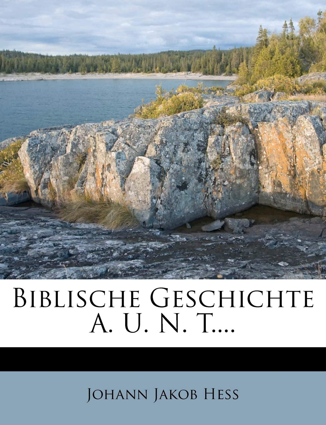 Biblische Geschichte Alten Und Neuen Testaments, Erster Band Politics & History